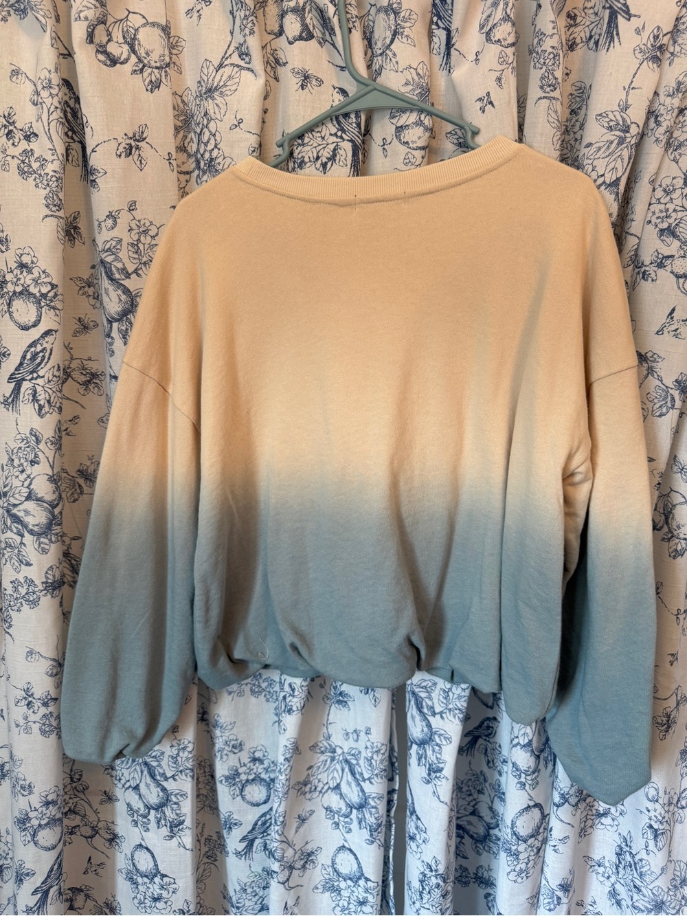 Democracy Ombre Floral Embroidered Sweatshirt - Peach & Sage - Picture 4 of 6